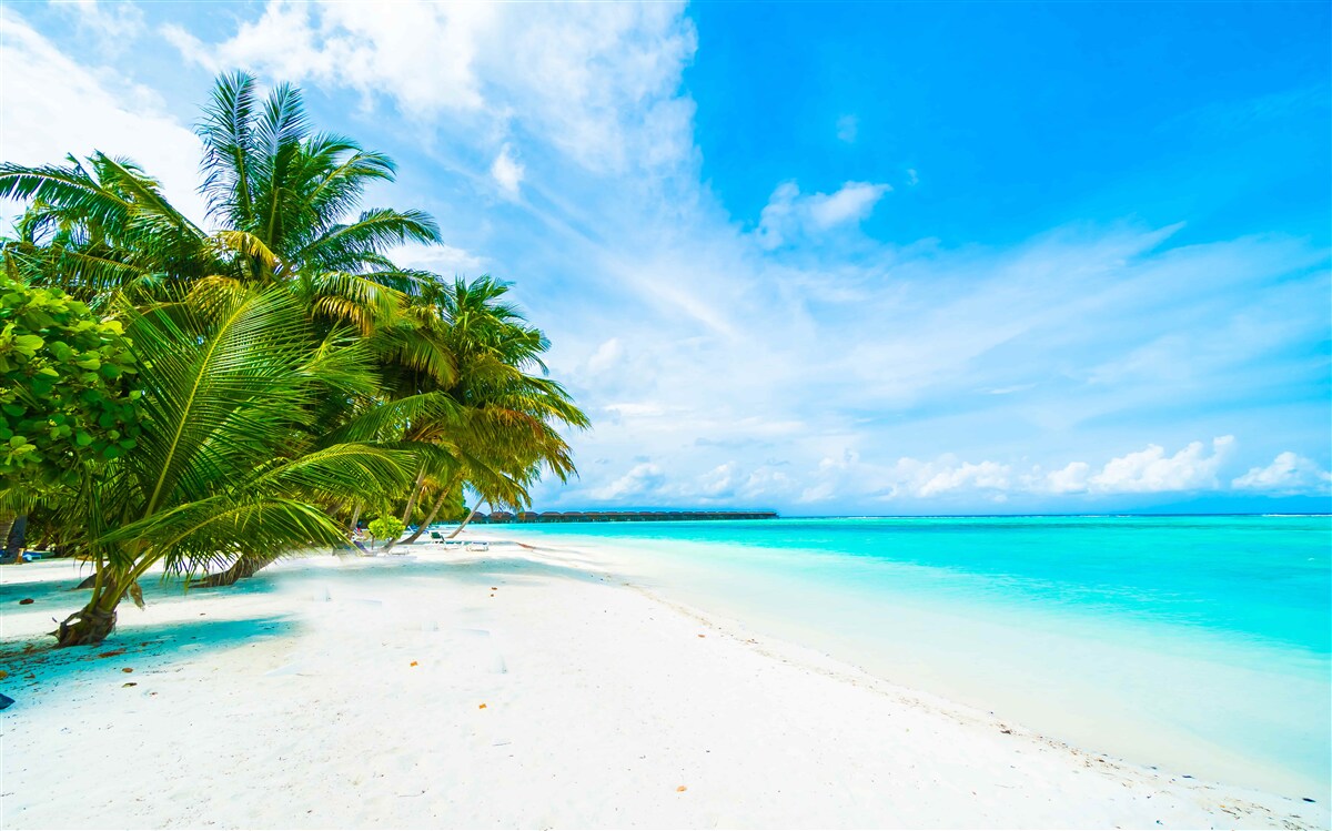 Fotobehang zandstranden en turquoise oceaanwater