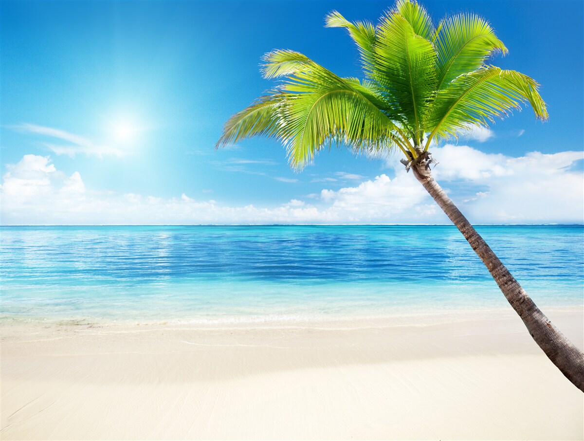 Fotobehang heldere zonnige dag aan de kust in de tropen