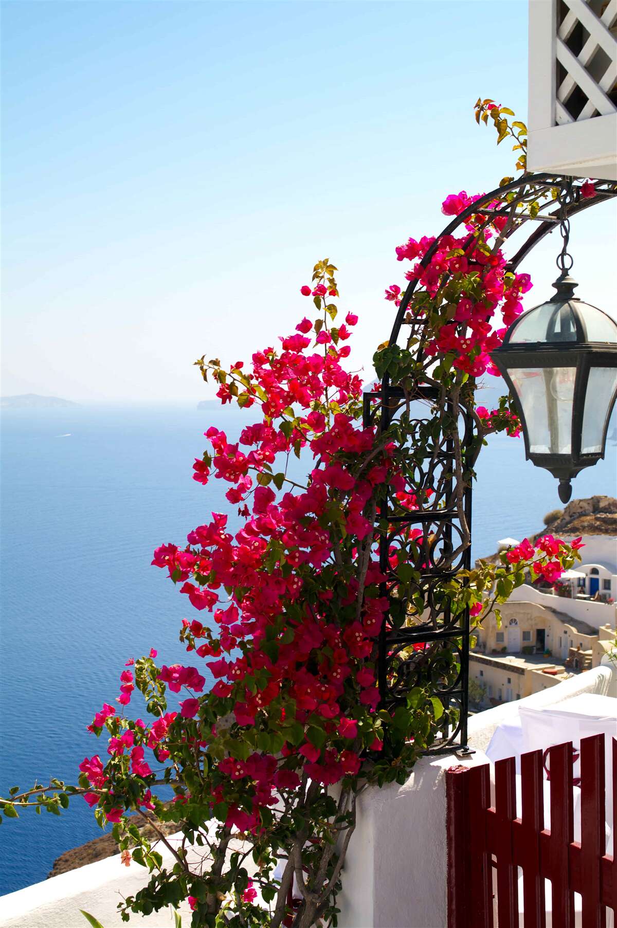 Fotobehang Een boog bij de vijver, doorweven met bloeiende rode bloemen
