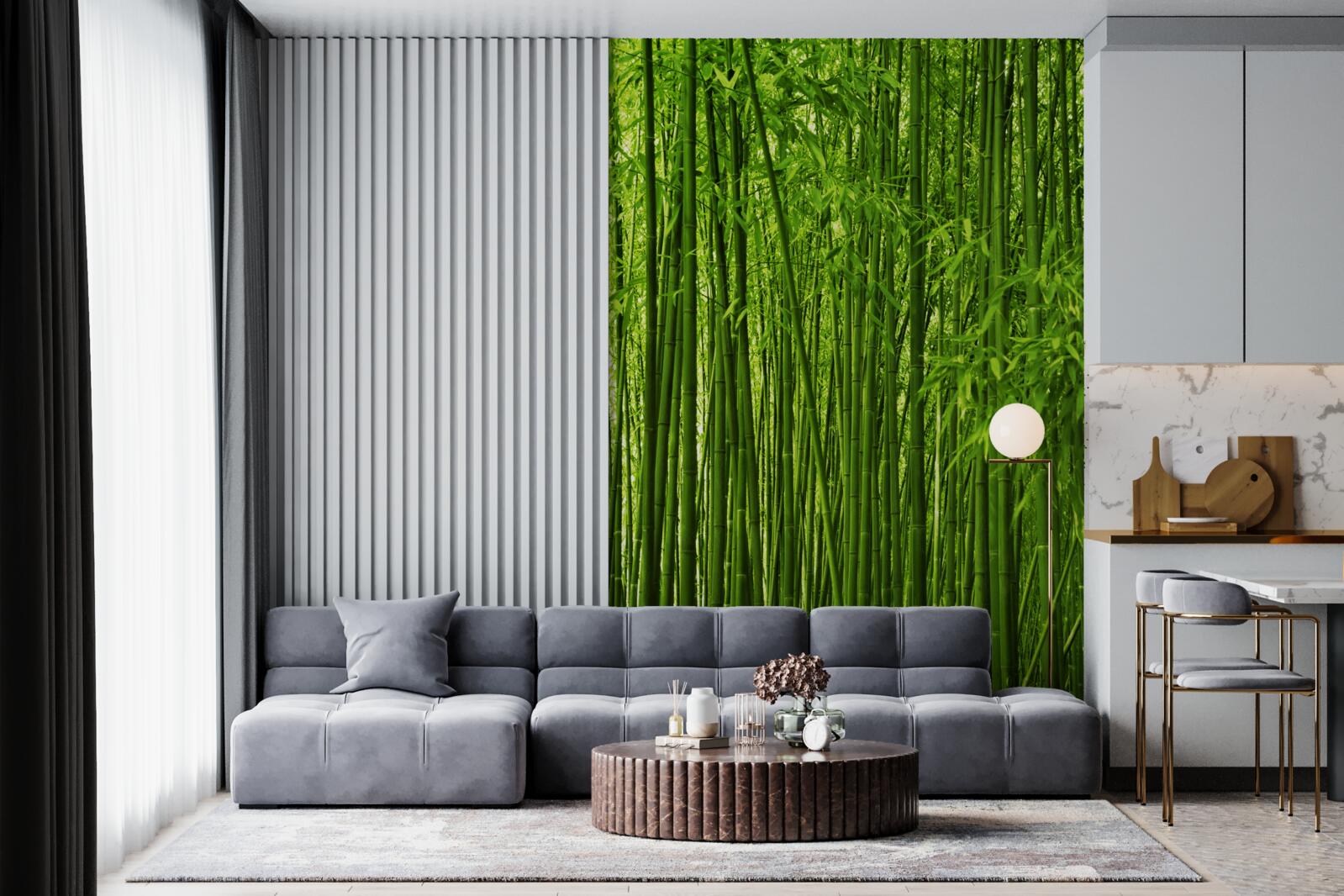 Fotobehang dichte vorming van dunne bamboestruiken