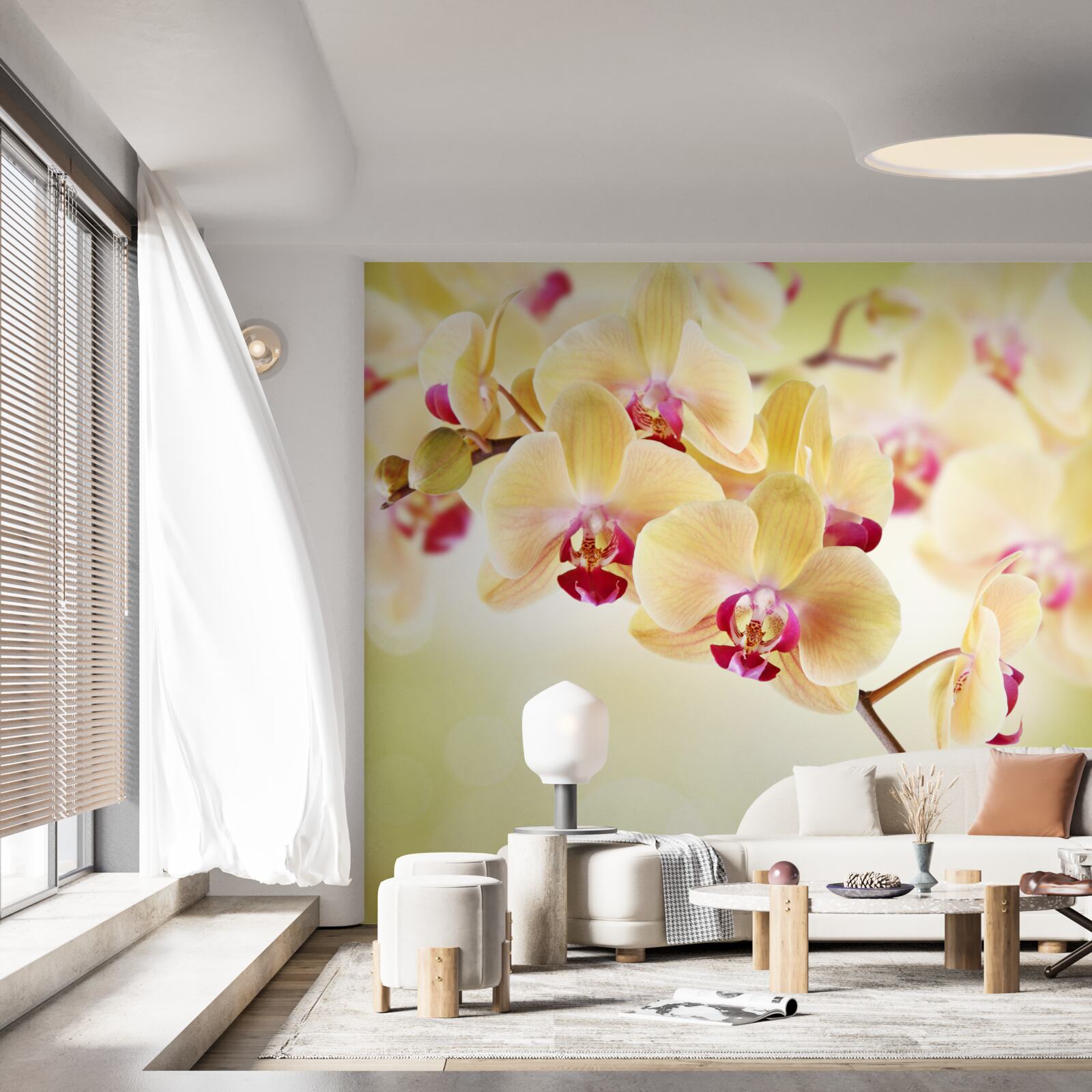 Fotobehang zachte crèmekleurige orchidee met sierlijke knoppen