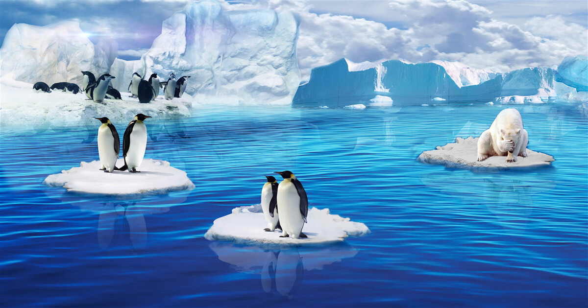 Fotobehang pinguïnfamilies op ijsplatforms