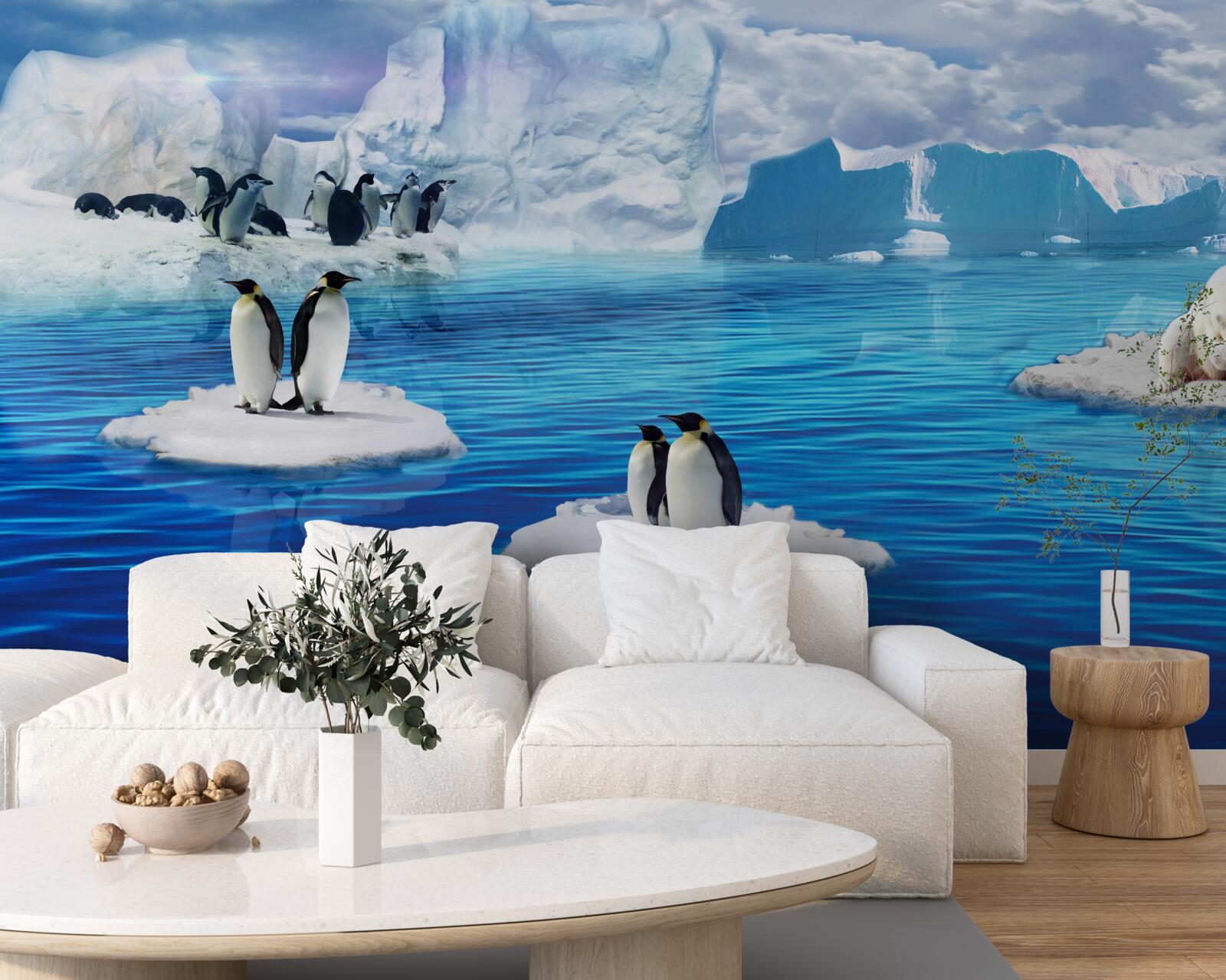 Fotobehang pinguïnfamilies op ijsplatforms