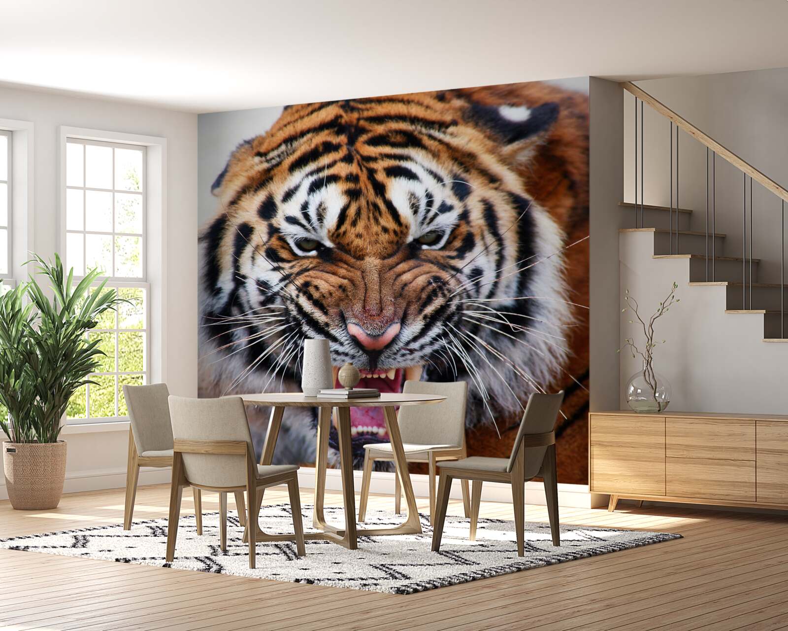 Fotobehang boze volwassen tijger brult