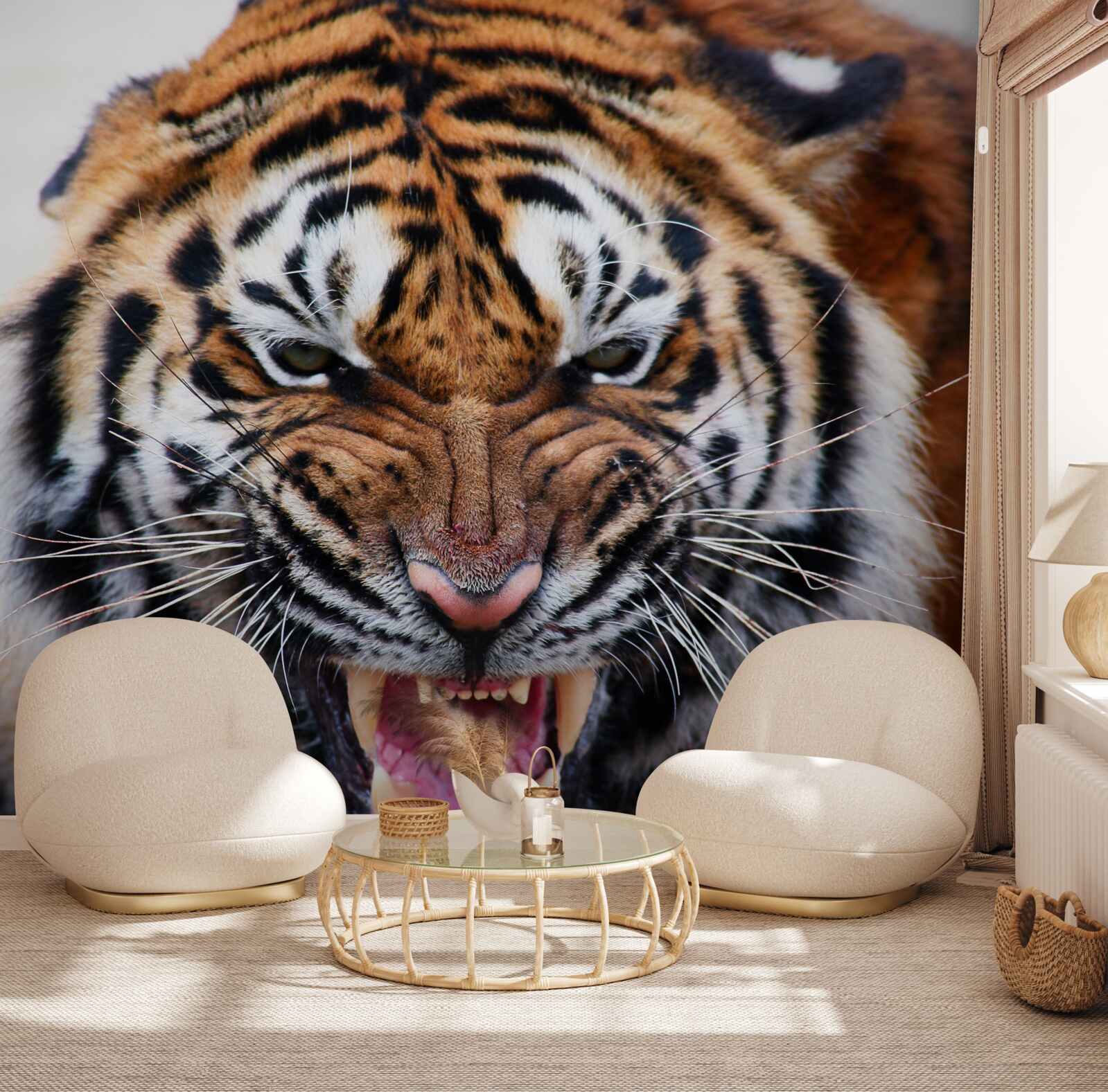 Fotobehang boze volwassen tijger brult