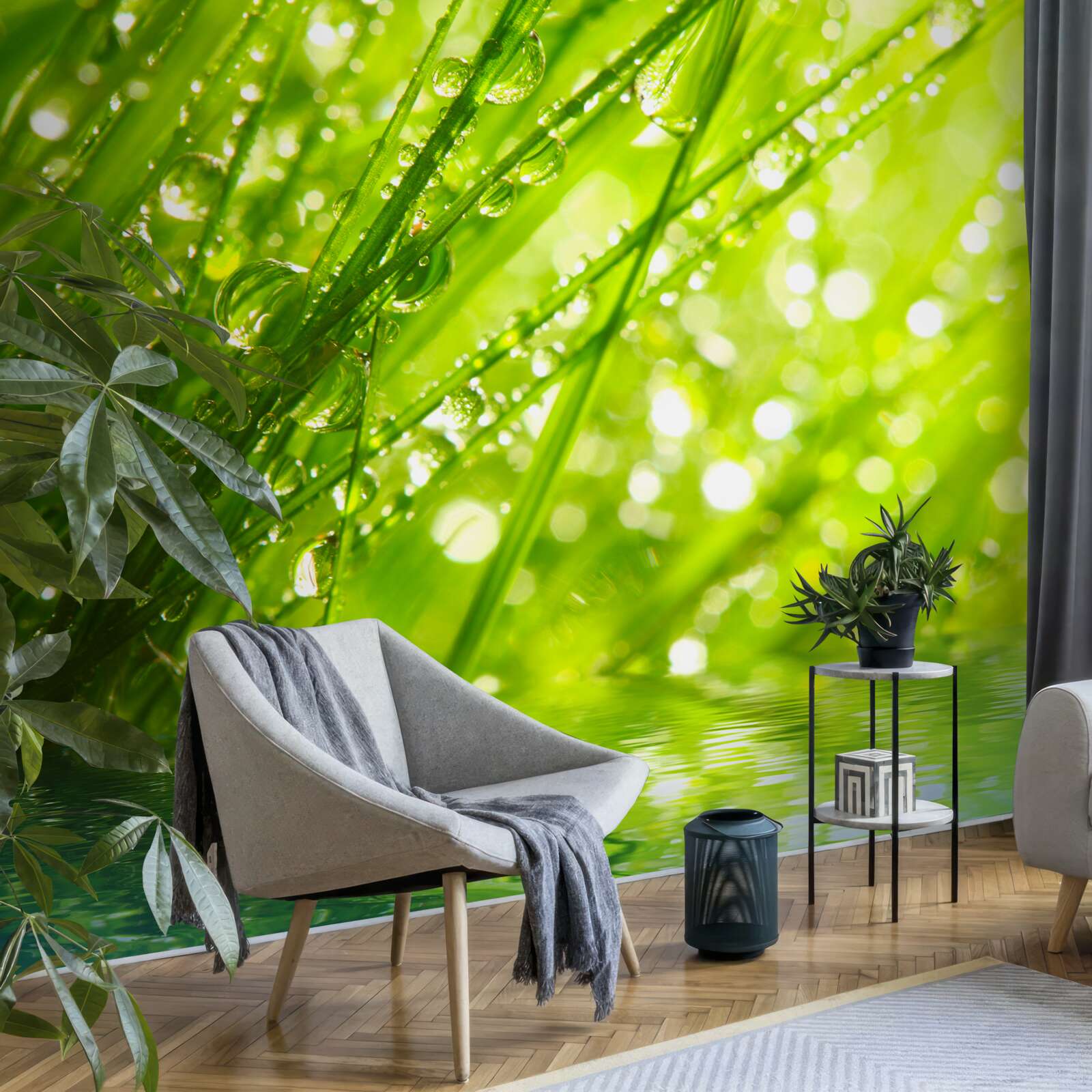 Fotobehang grote dauwdruppels op takken bij water