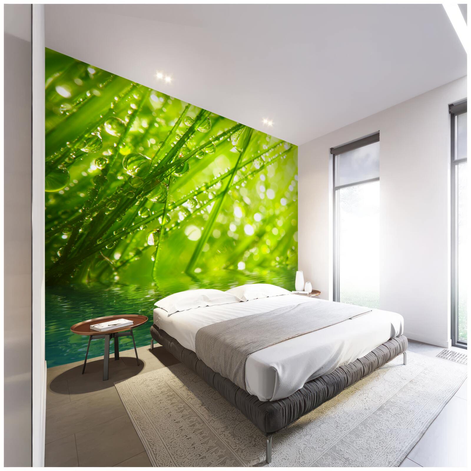 Fotobehang grote dauwdruppels op takken bij water