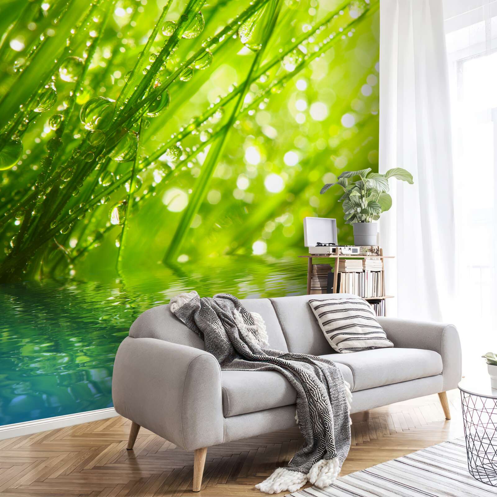 Fotobehang grote dauwdruppels op takken bij water