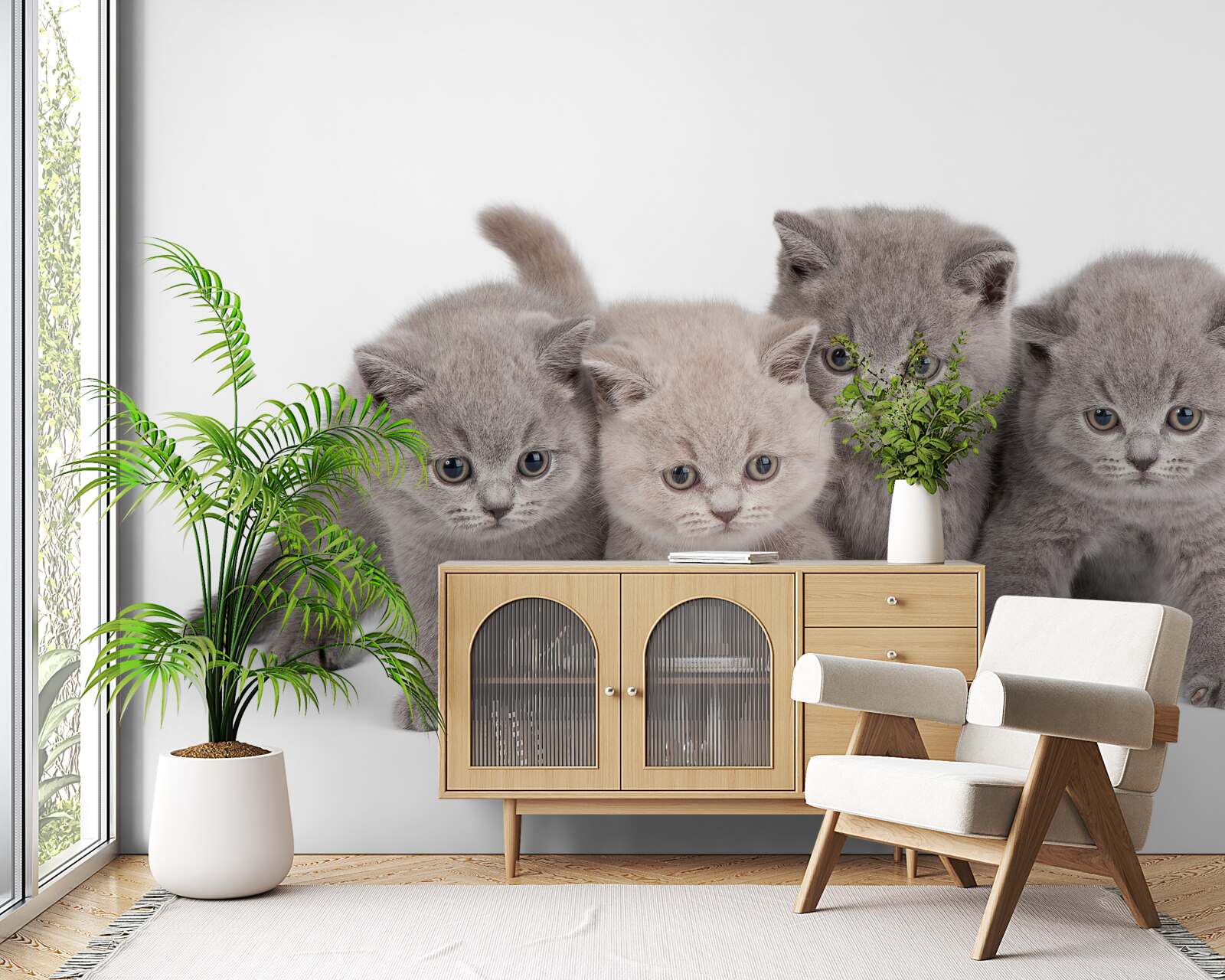 Fotobehang vier kleine schattige kittens