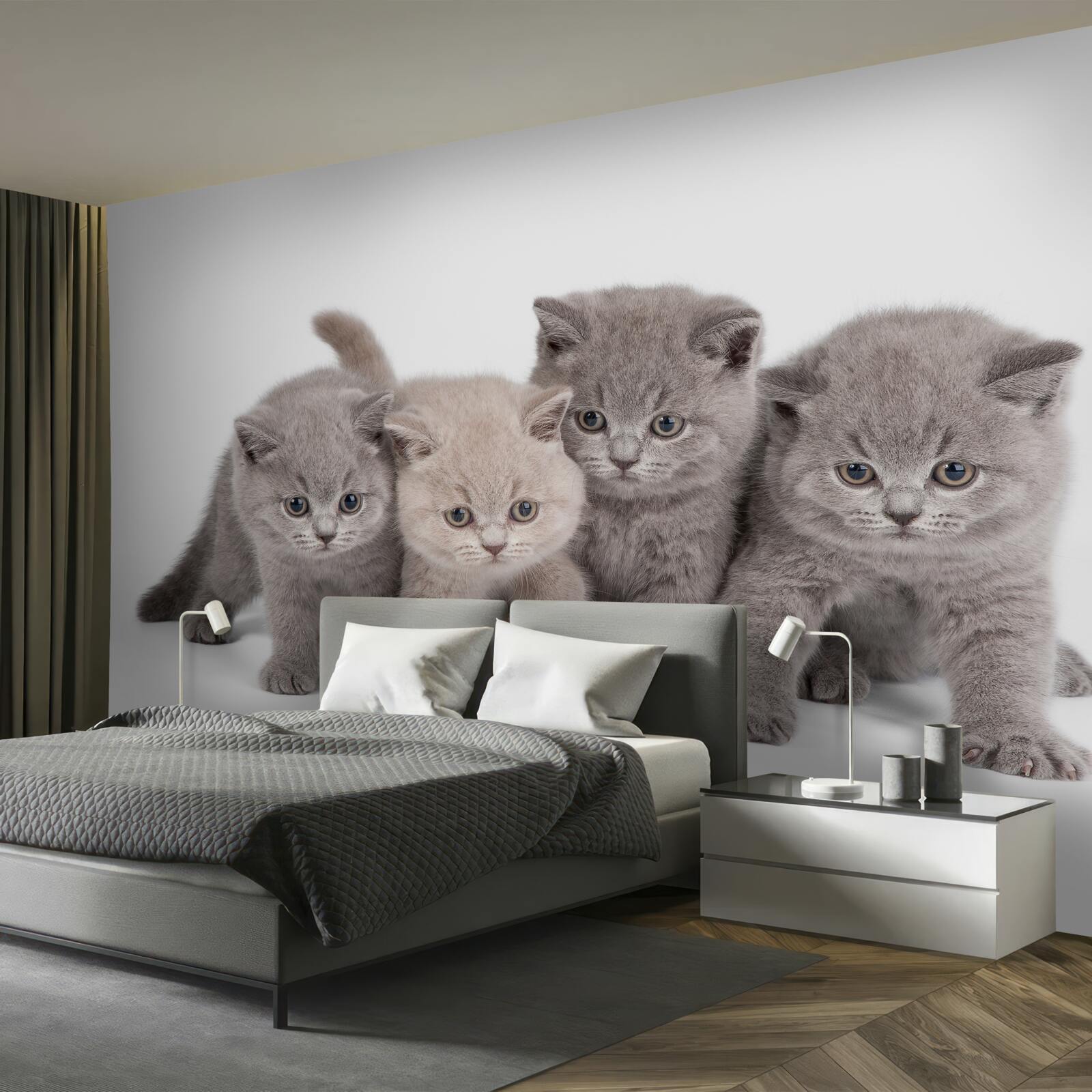 Fotobehang vier kleine schattige kittens