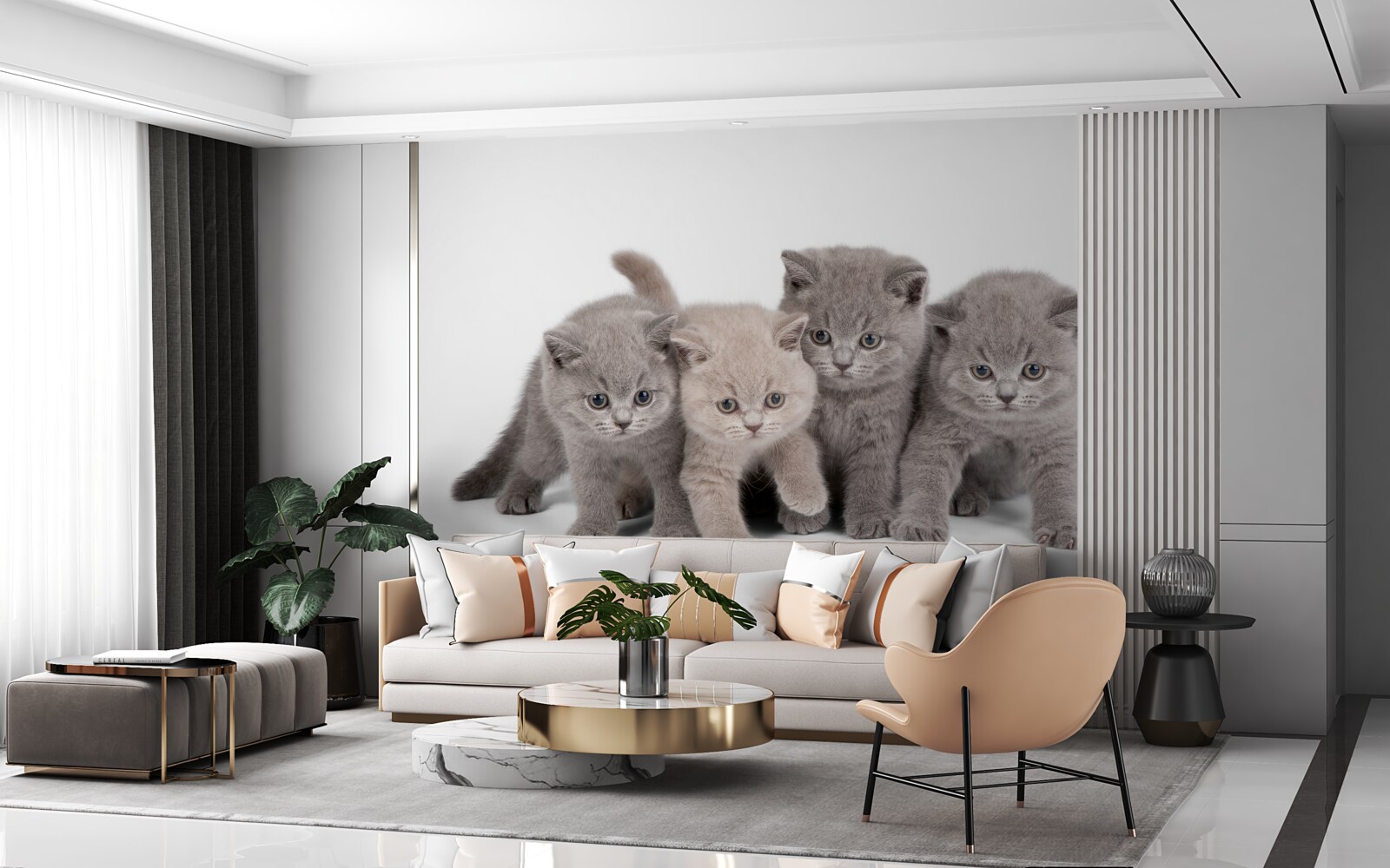 Fotobehang vier kleine schattige kittens