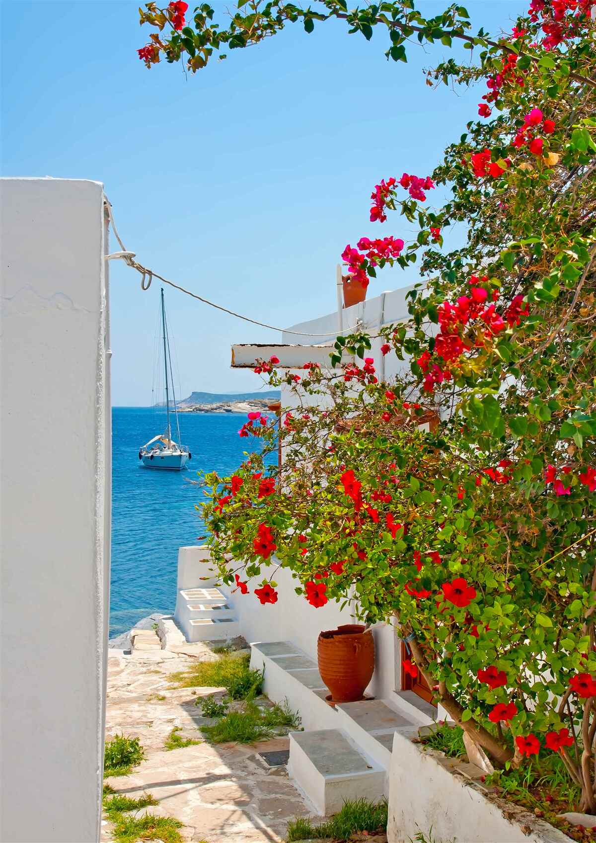 Fotobehang de kleur van rode granaatappel gluurt door de muren van witte huizen