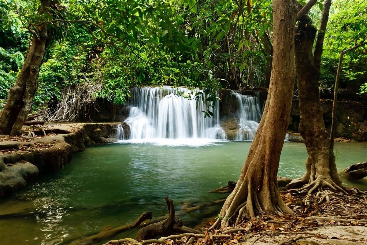 Fotobehang waterval in een eeuwenoud bos