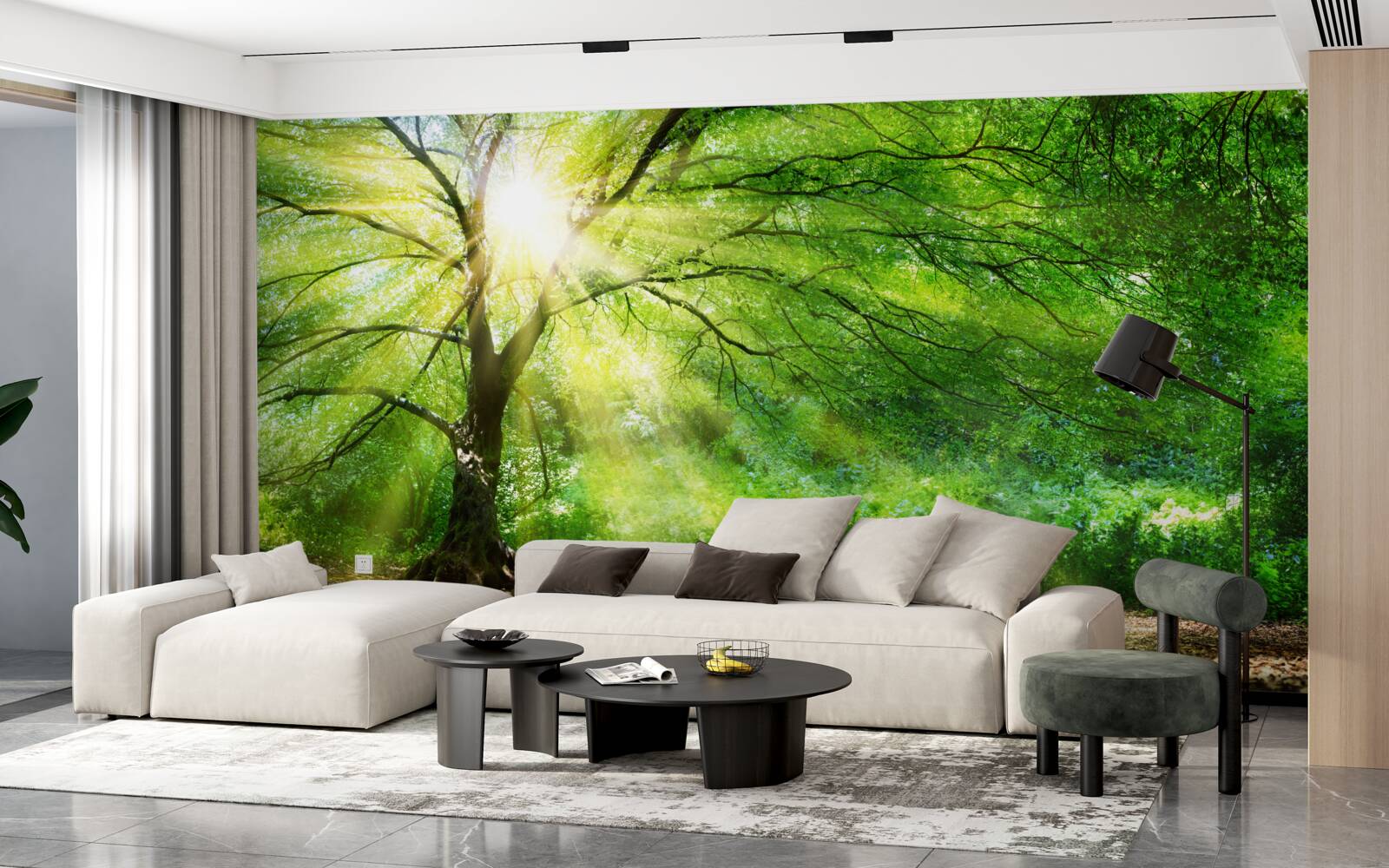 Fotobehang lichte zonnestralen breken door de weelderige boomkruinen