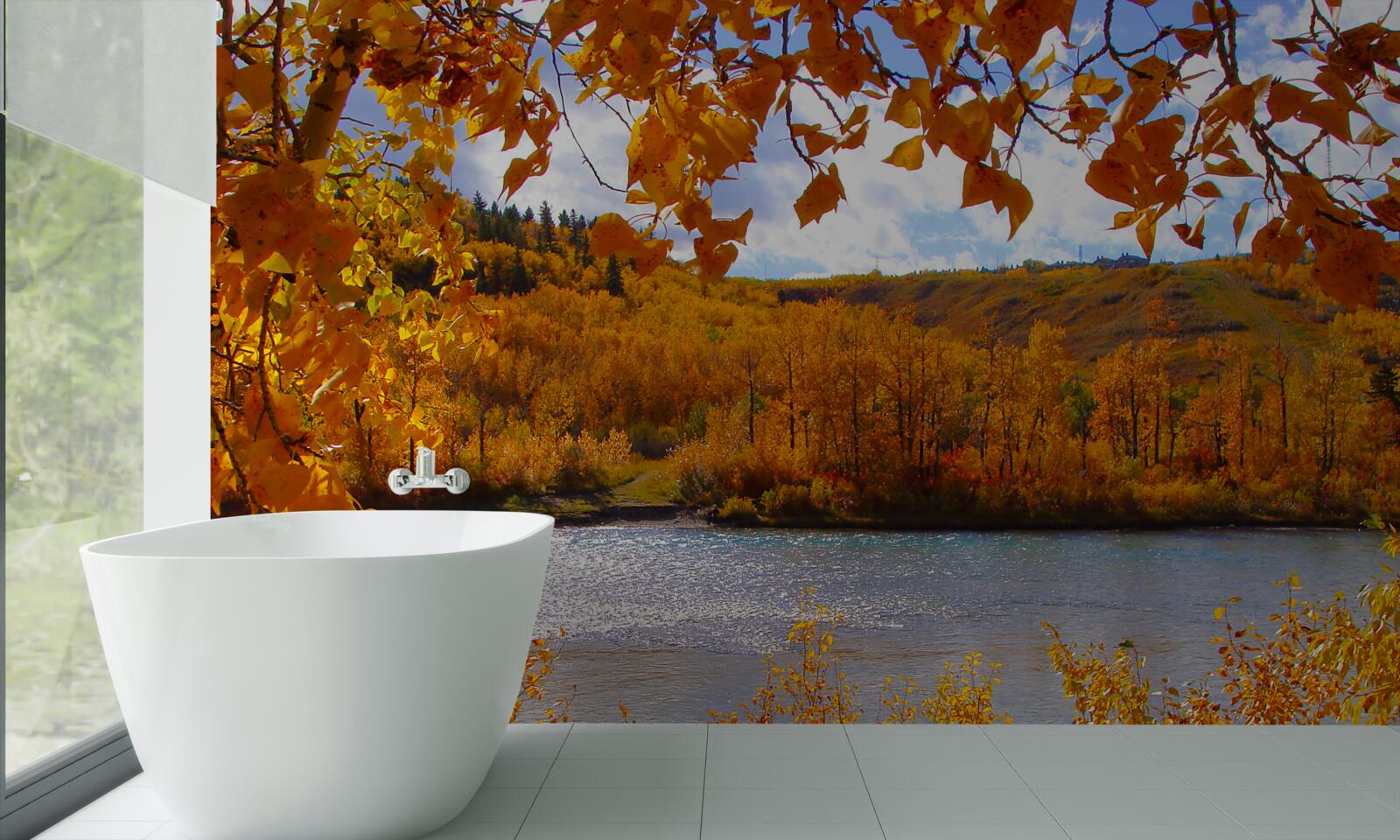 Fotobehang gouden herfst in het dichte bos bij de rivier