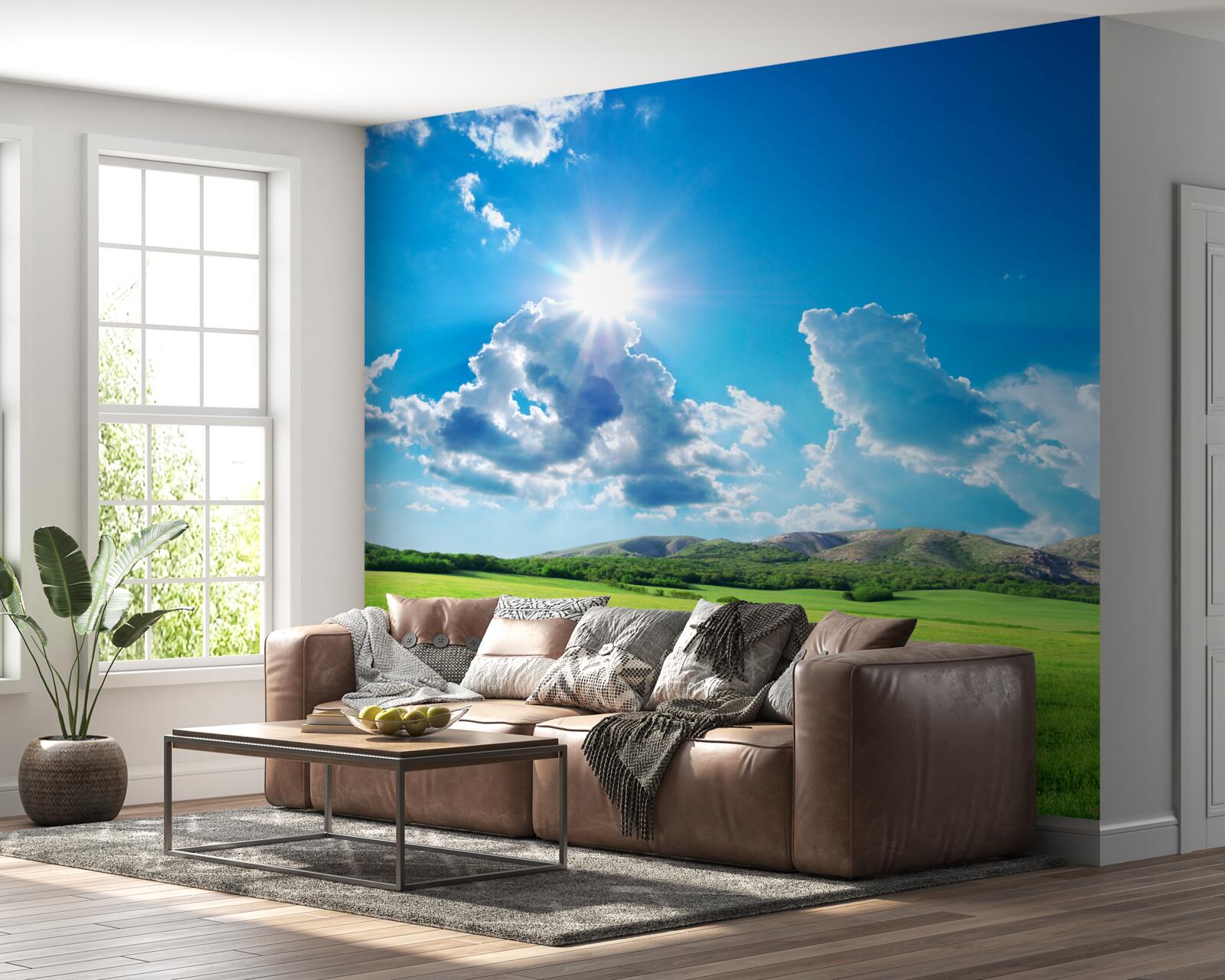 Fotobehang een heldere zomerdag in een weiland