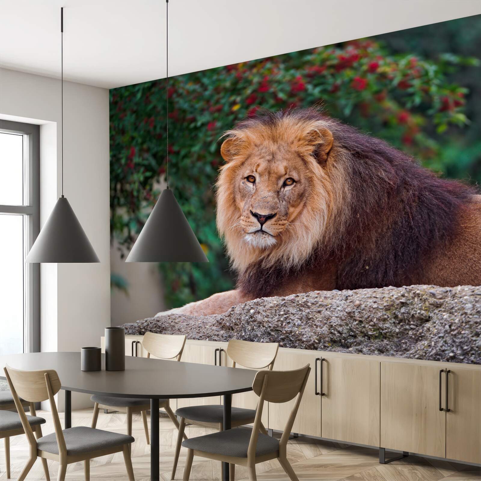 Fotobehang een volwassen leeuw zit op een rots en wacht op een leeuwin