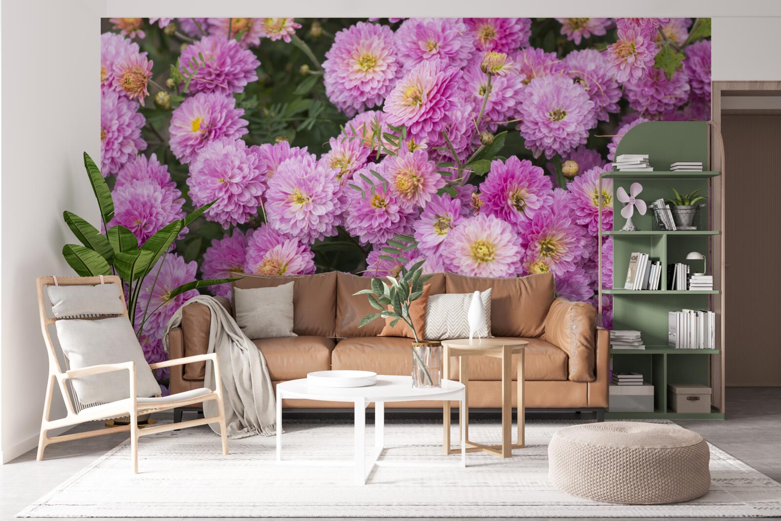 Fotobehang prachtige gerbera's met heldere lila margrieten