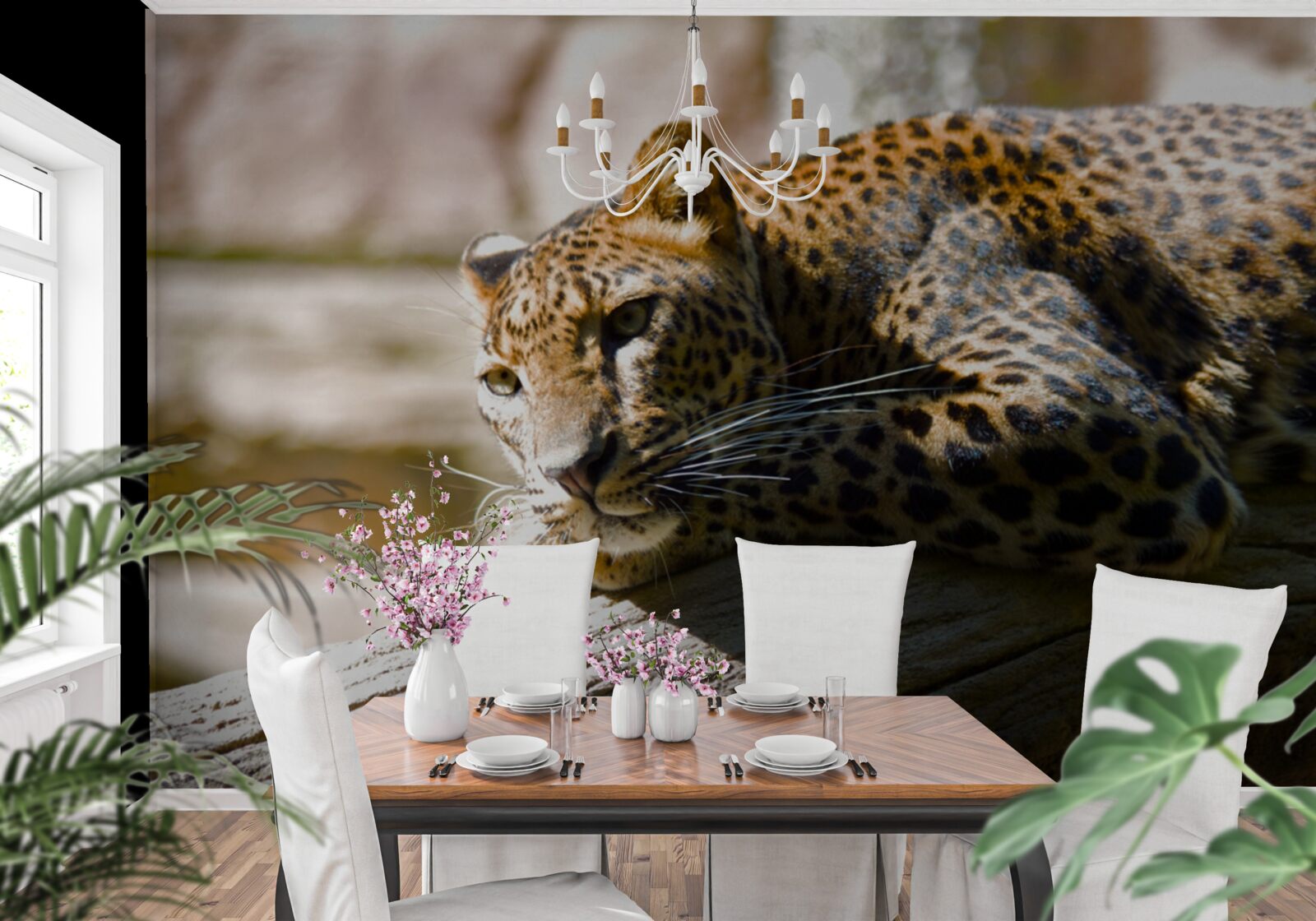 Fotobehang panter koesterend in de hete zon