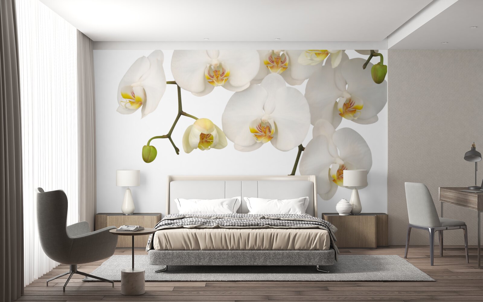 Fotobehang hangende orchideeën met witte bloemen