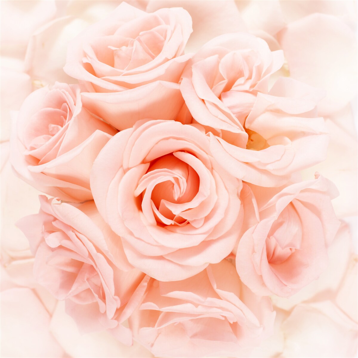 Fotobehang perzik rozenknop in een delicaat boeket