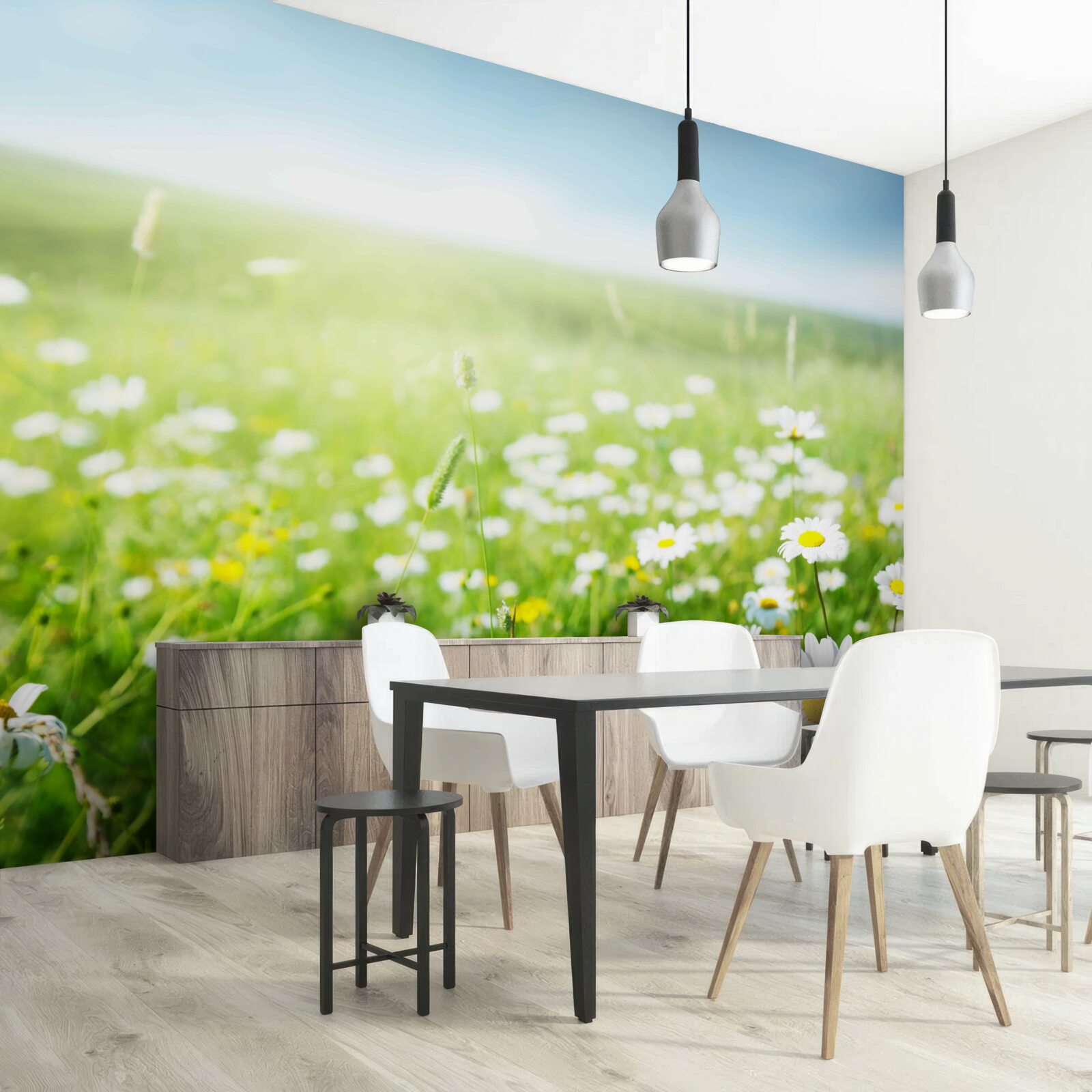 Fotobehang witte margrieten in de zon