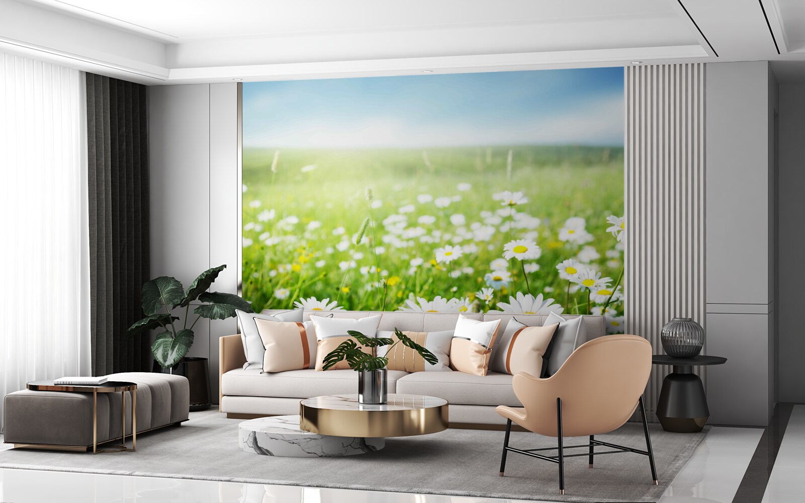 Fotobehang witte margrieten in de zon