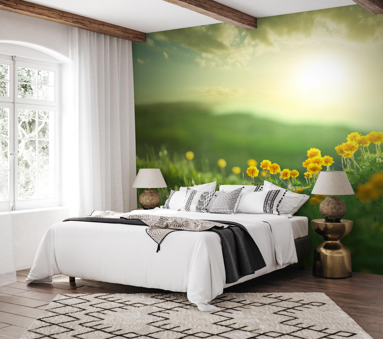 Fotobehang op een weide kijken gouden paardenbloemen naar de zonsopgang