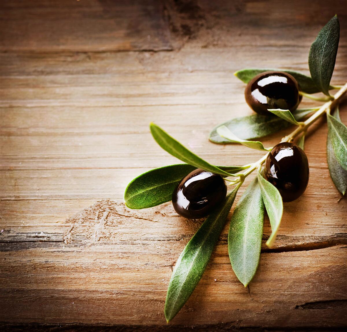 Fotobehang takken versierd met zwarte olijven en groene bladeren