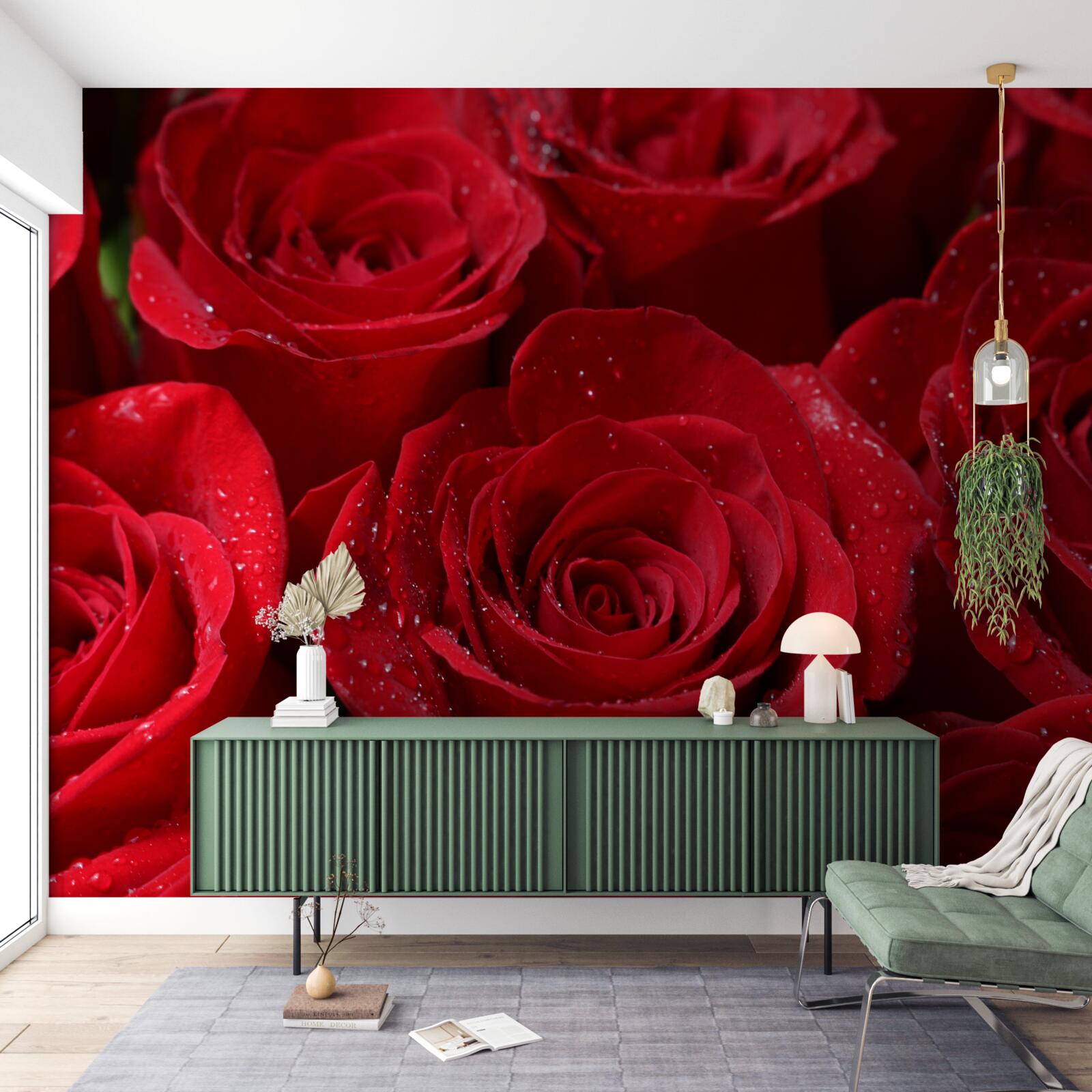 Fotobehang rozenknoppen in een rijke scharlakenrode tint