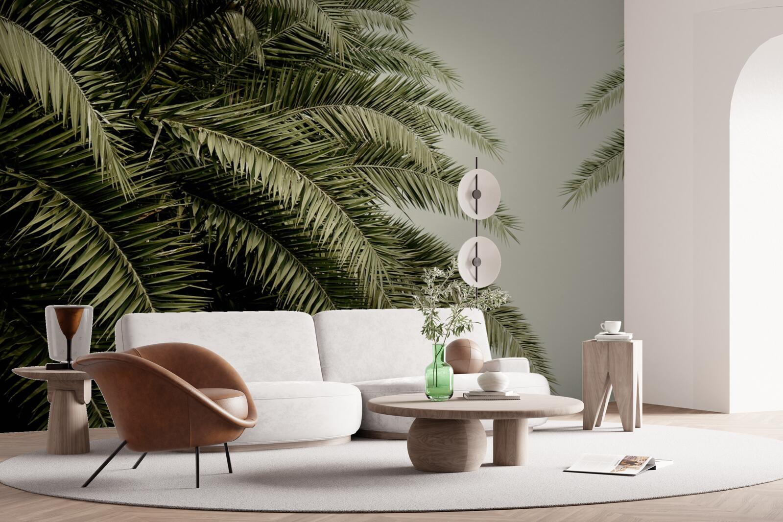 Fotobehang varenbladeren dicht bedekt met vocht als het regent