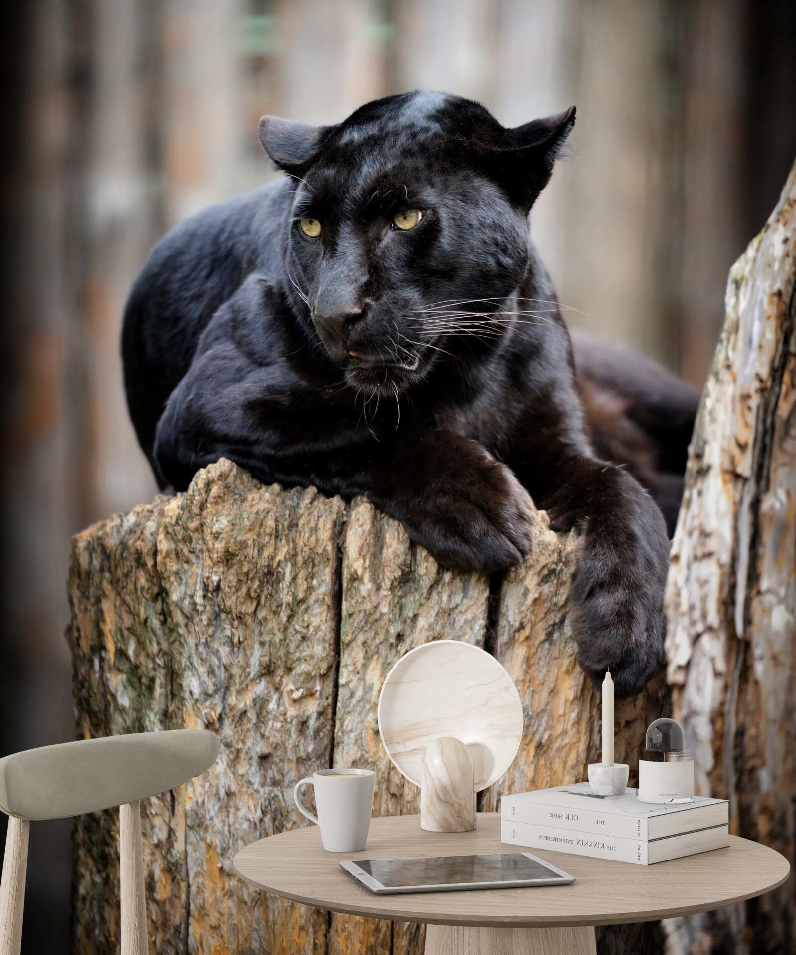 Fotobehang een zwarte panter zit op een boom