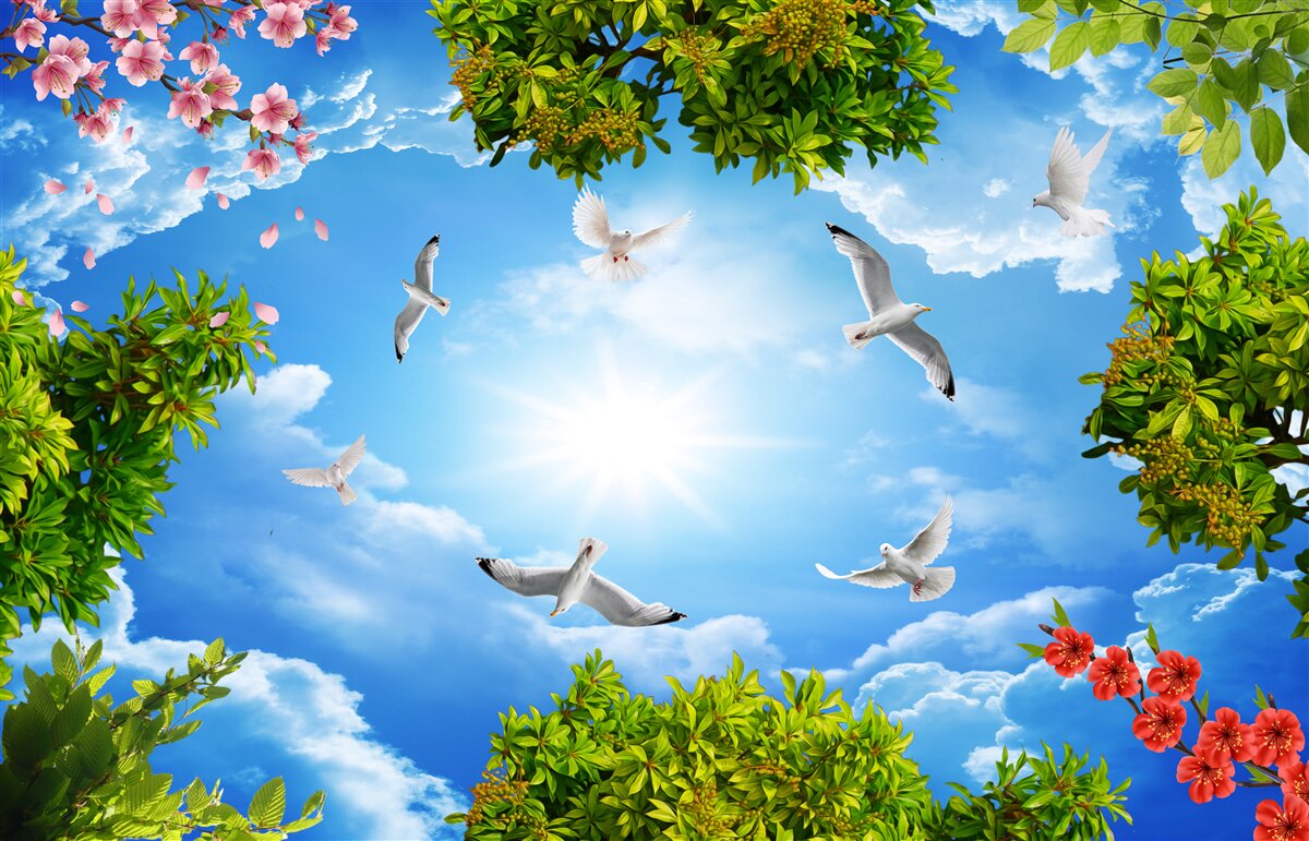 Fotobehang vogels in het bos genieten van een zonnige dag