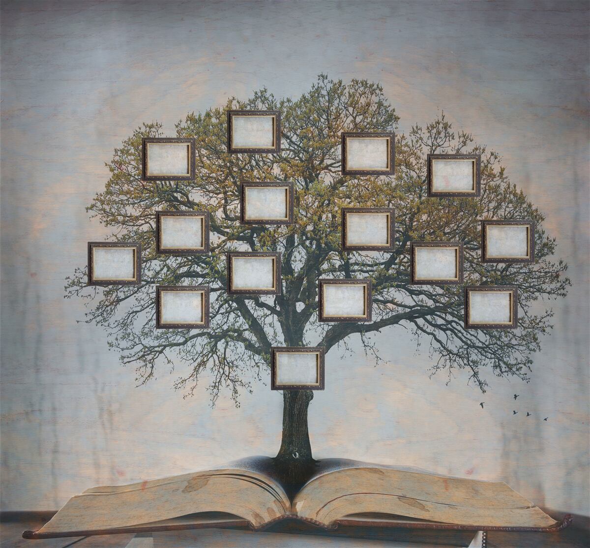 Fotobehang stamboom zonder foto's
