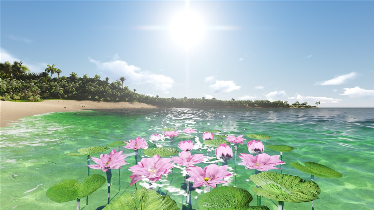 Fotobehang roze lotussen op het wateroppervlak