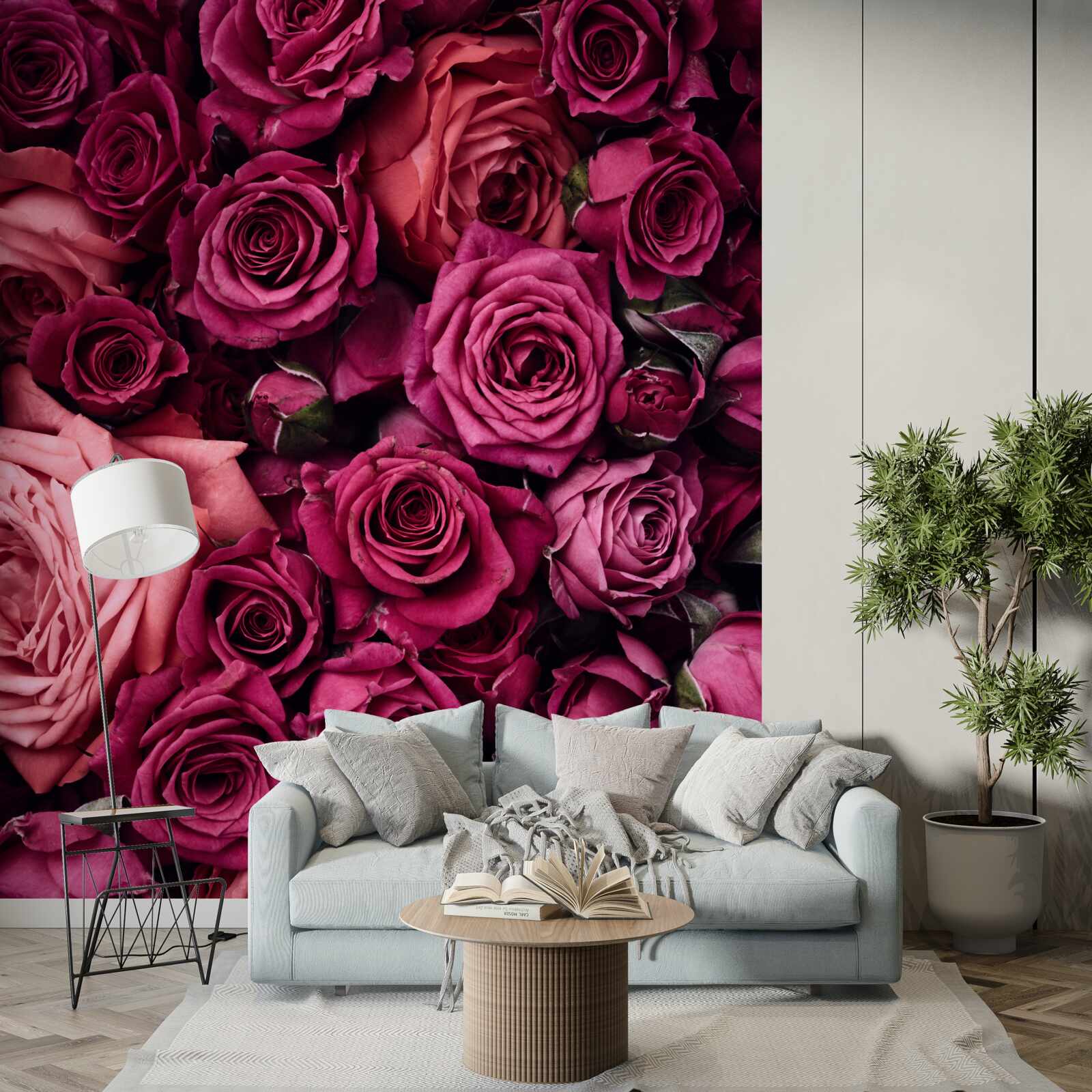 Fotobehang prachtige rozen van dichtbij