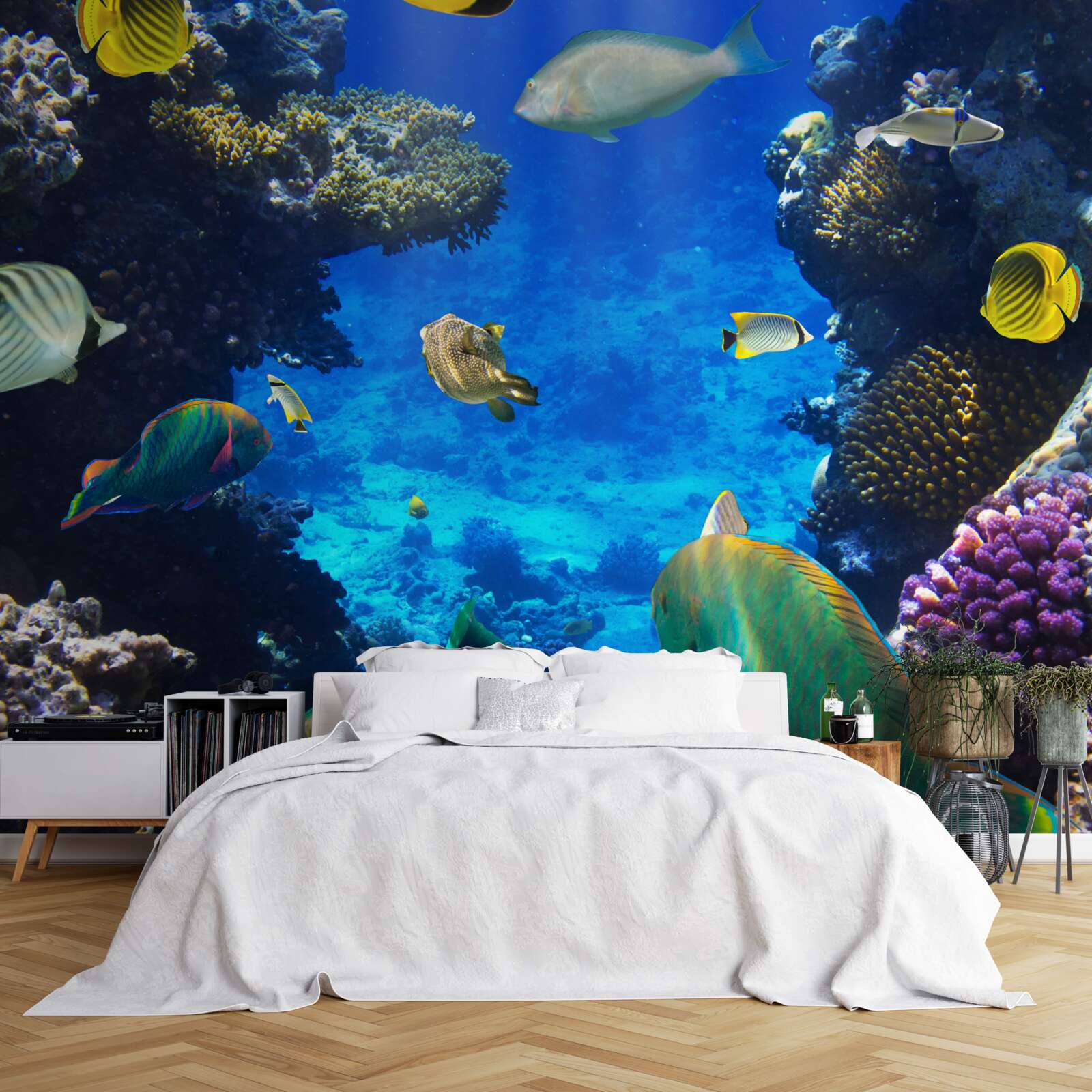 Fotobehang de mysterieuze diepten van de oceaan