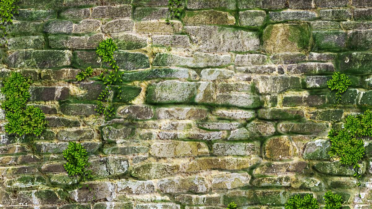 Fotobehang oude steen bedekt met mos