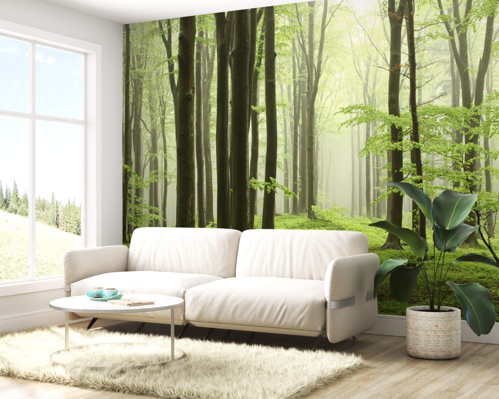 Fotobehang bomen in een dicht bos