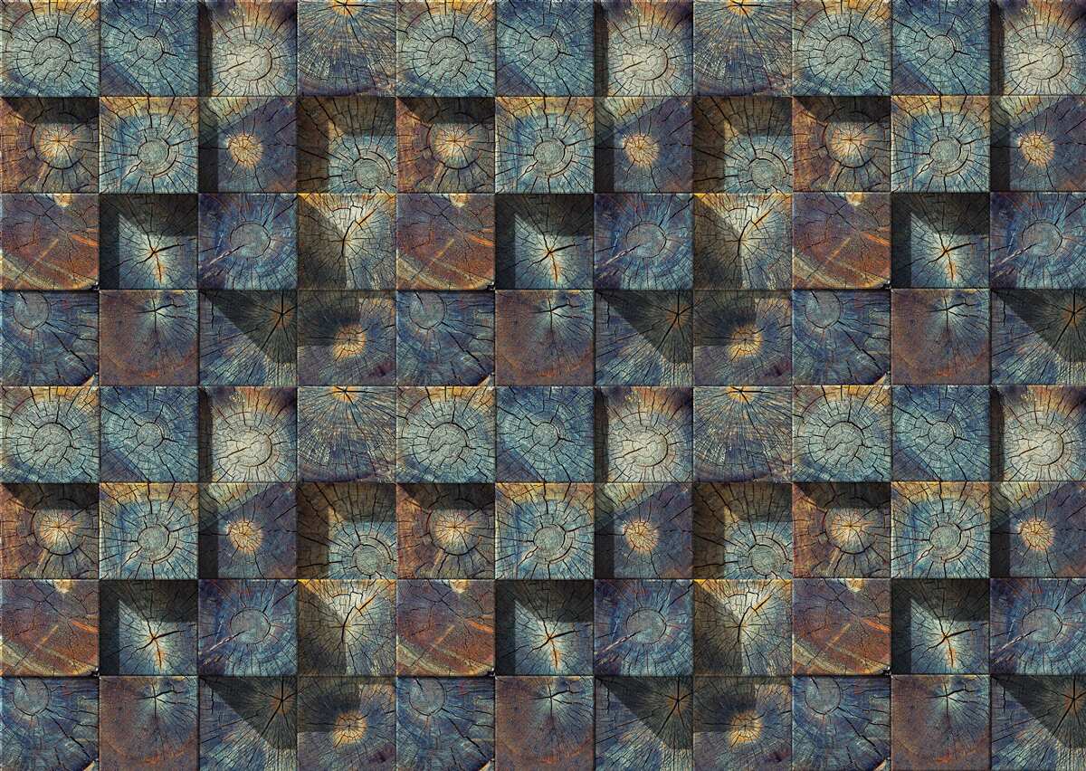 Fotobehang kleine boomzaailingen