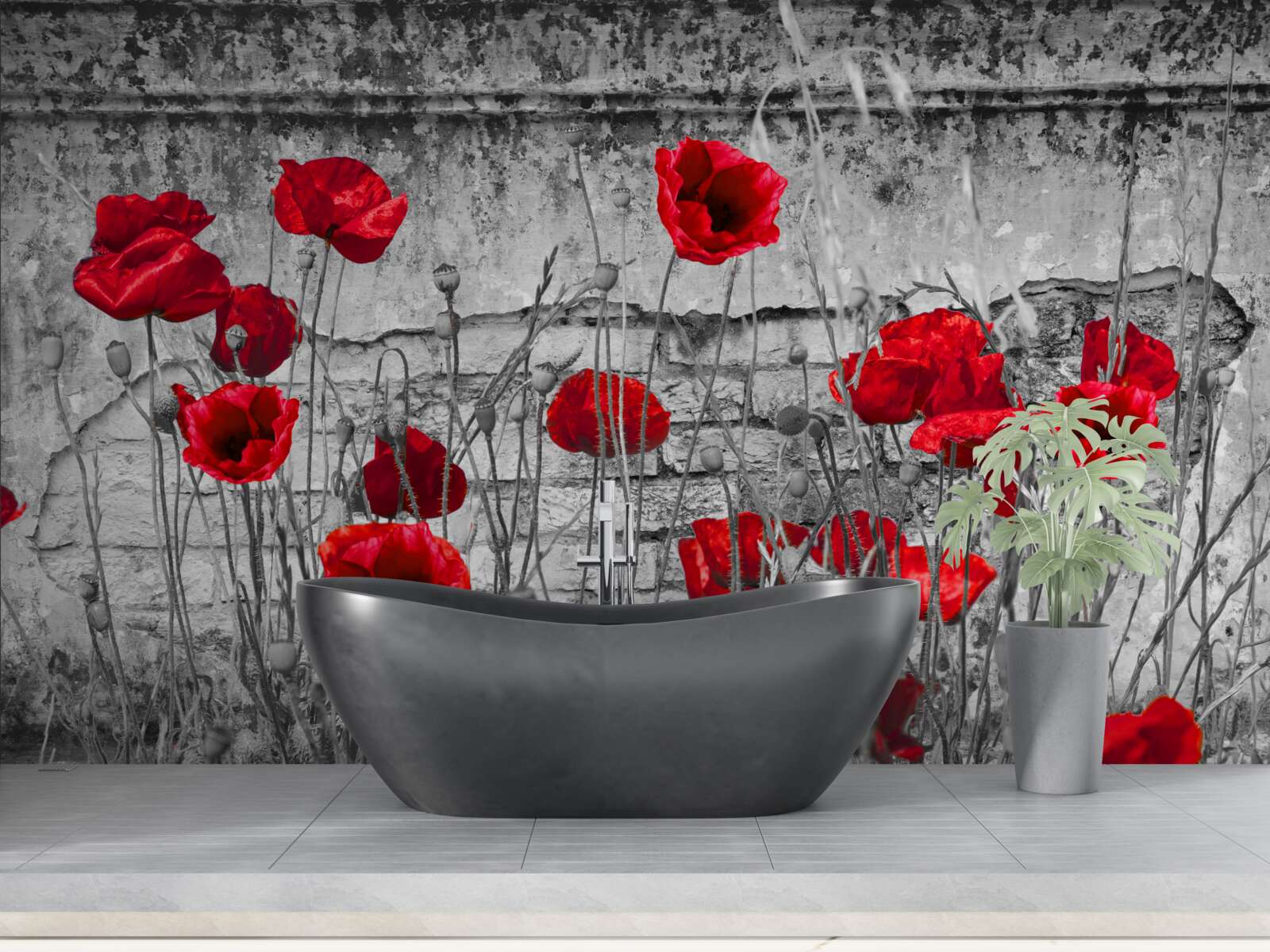 Fotobehang scharlaken klaprozen op een grijze achtergrond