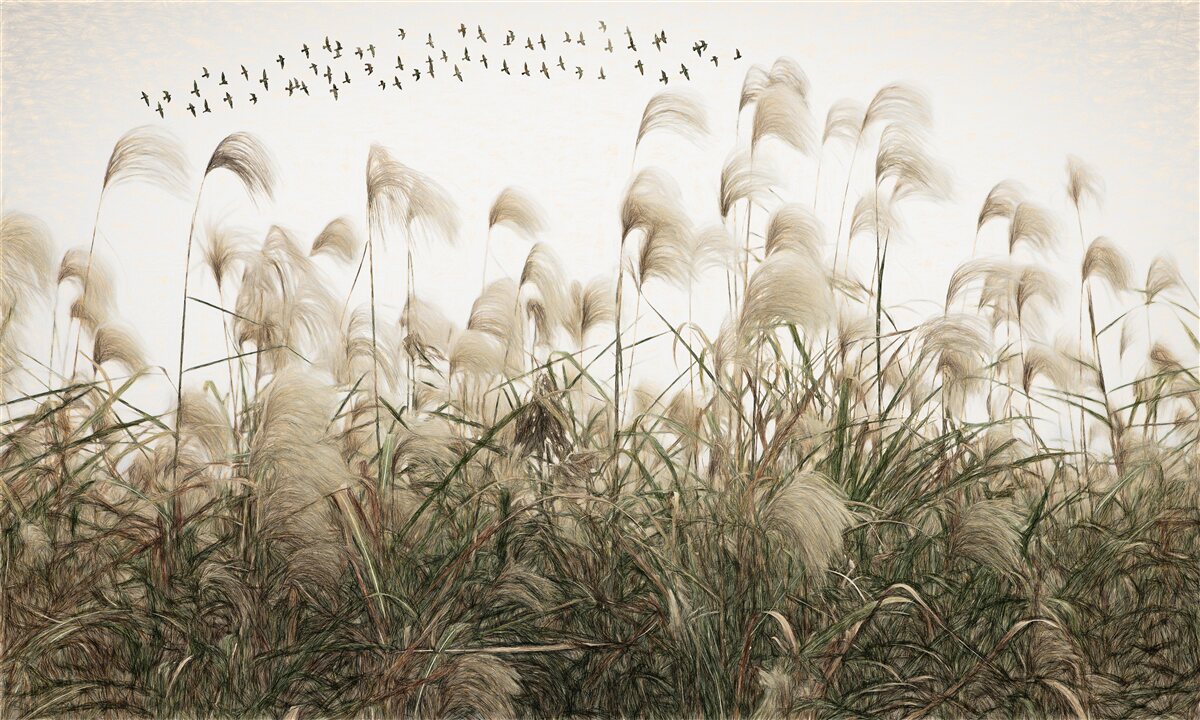 Fotobehang planten met een pluizige textuur