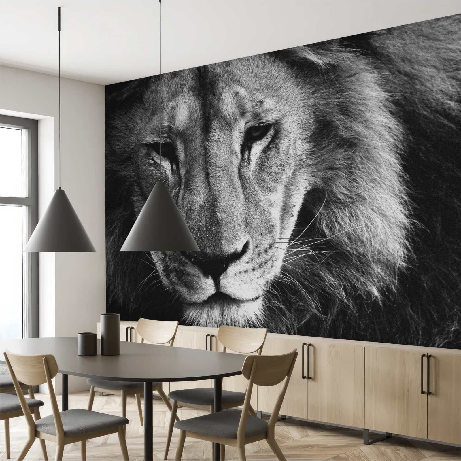 Fotobehang portret van een volwassen leeuw in zwart-wit