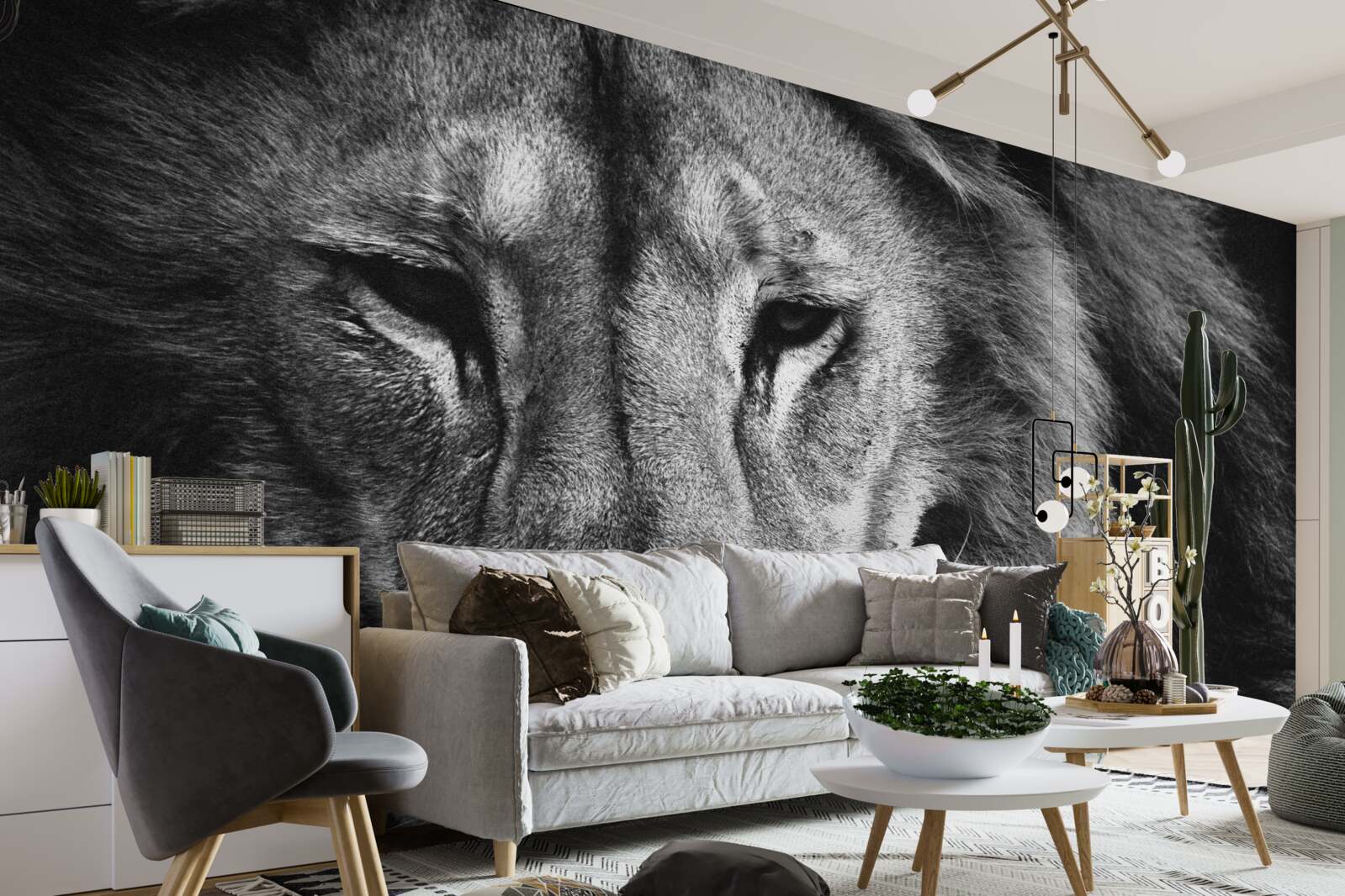 Fotobehang portret van een volwassen leeuw in zwart-wit