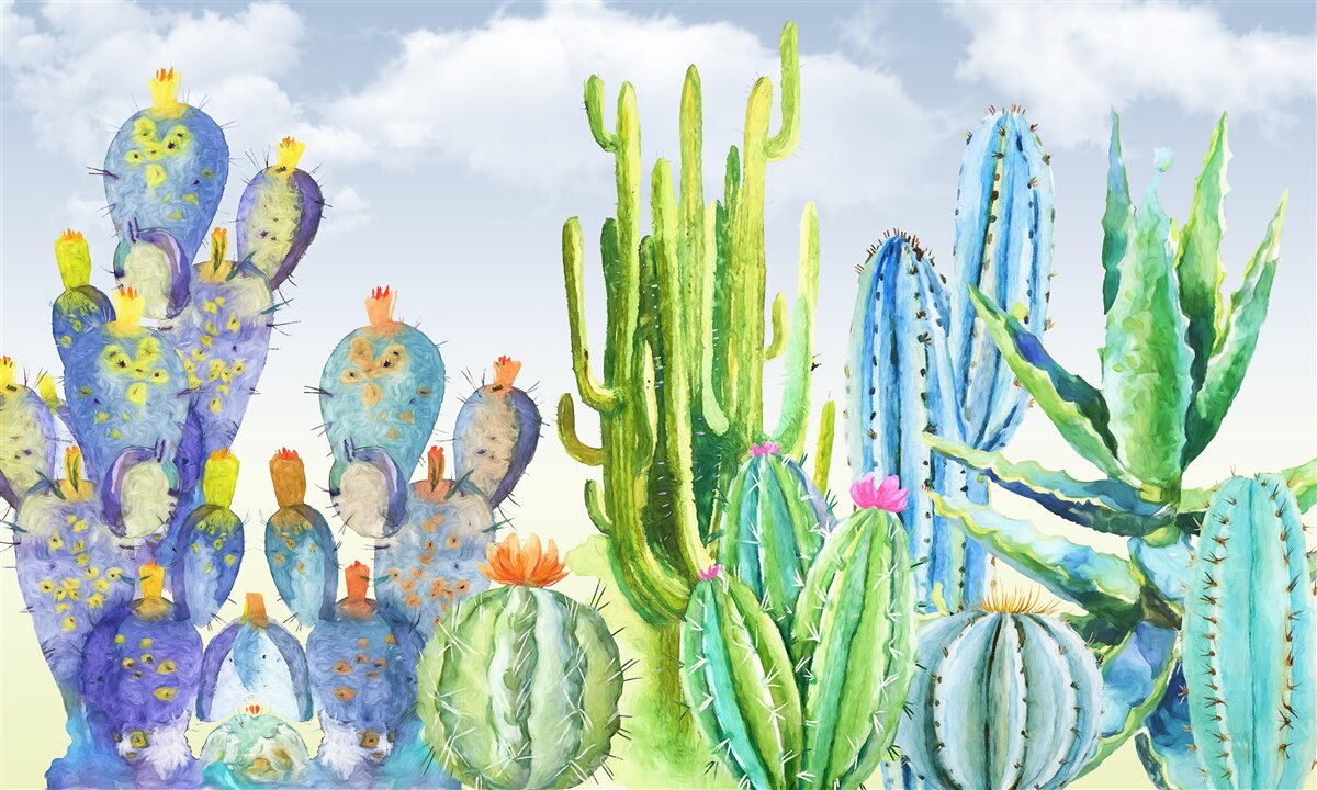 Fotobehang grote cactussen in verschillende kleuren