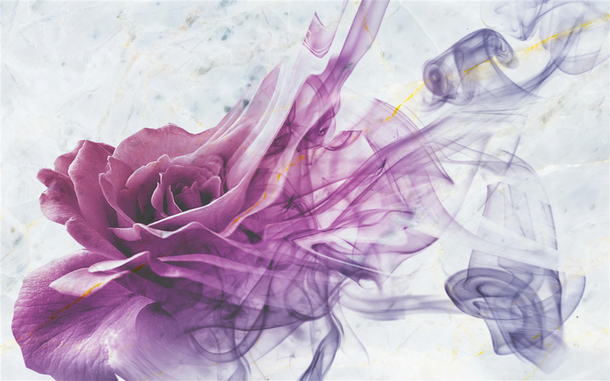 Fotobehang mist van een viooltjesbloem