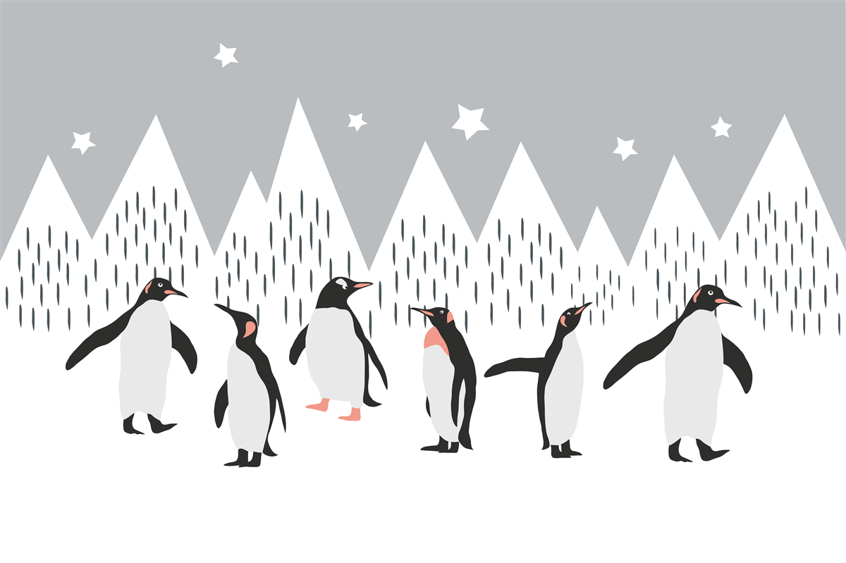 Fotobehang pinguïns gaan wandelen