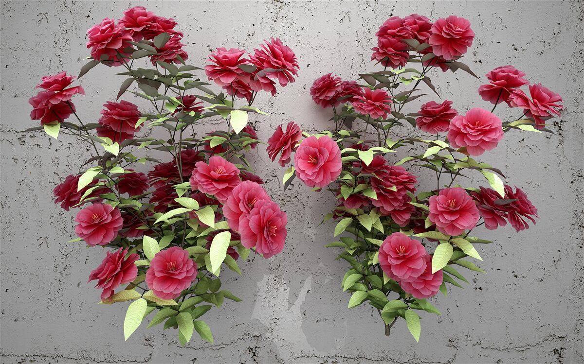 Fotobehang roze bloemen met groene bladeren