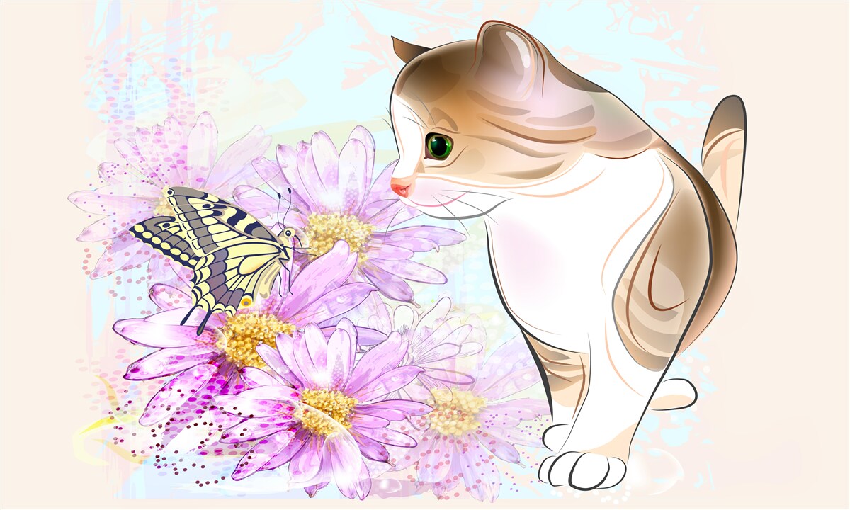 Fotobehang vlinder trok aandacht van kat