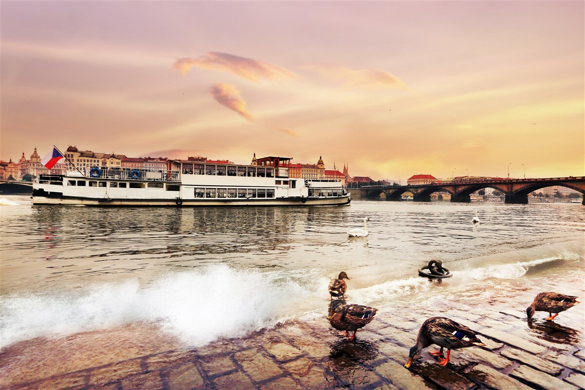 Fotobehang eenden bij de vijver